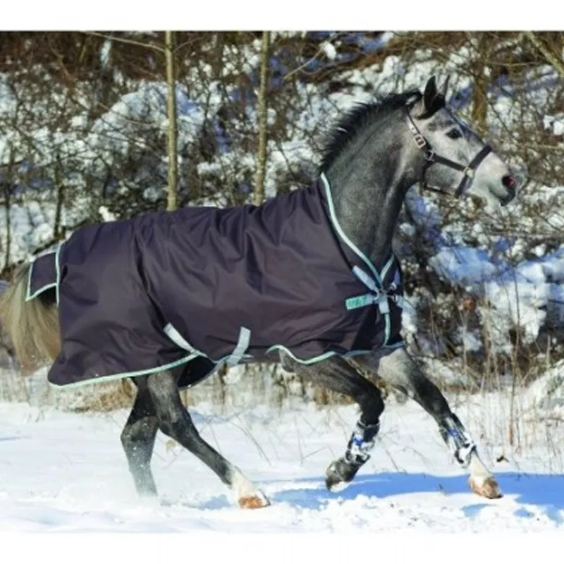 Horseware Amigo Bravo 12 Wug 250g Mediumweight Turnout Rug - Excalibur/Silver